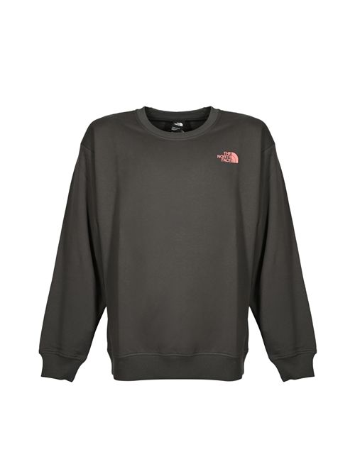 Felpa oversize Expedition Celebration The North Face | NF0A8E3GRHI1